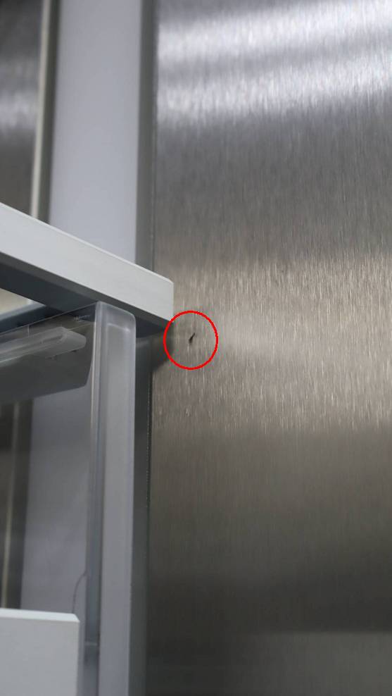 Thermador Freedom Collection T48BT120NS 48" 26.7 cu.ft. Stainless Refrigerator