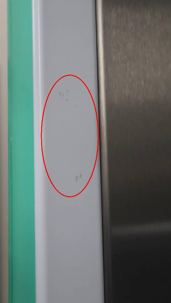 Thermador 48" Freedom Collection Refrigerator & Freezer T24IR905SP / T24IF905SP