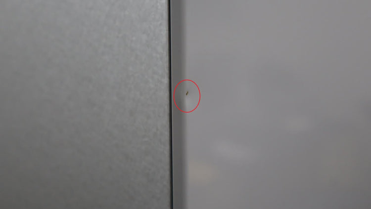 Bosch 800 Series 36" Freestand Stainless 20.5 Cu.Ft. French Door B36CL80ENS