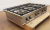 Bertazzoni Professional Series PROF366RTBXT 36" Gas Rangetop Full Warranty